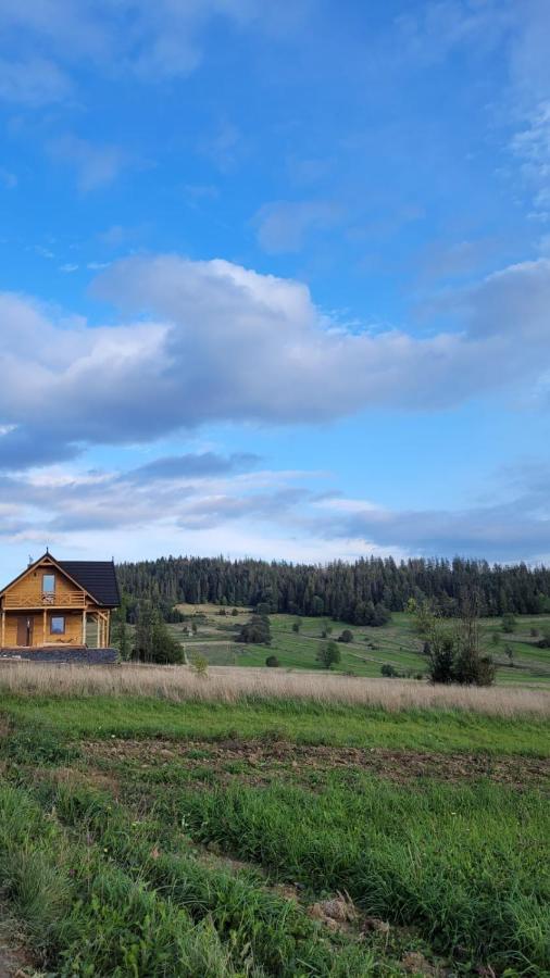 Hamajdowka Vila Zubrzyca Gorna Exterior foto